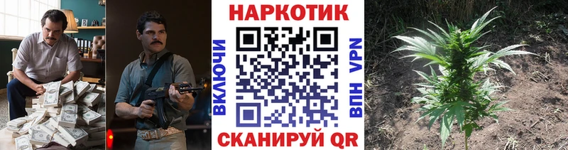 Сколько стоит Киселёвск мега маркетплейс  АМФЕТАМИН  ГАШИШ  Канабис 