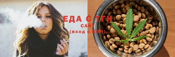 ECSTASY Алзамай