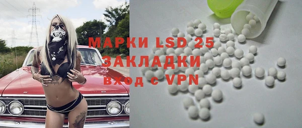 прущие грибы Алексеевка