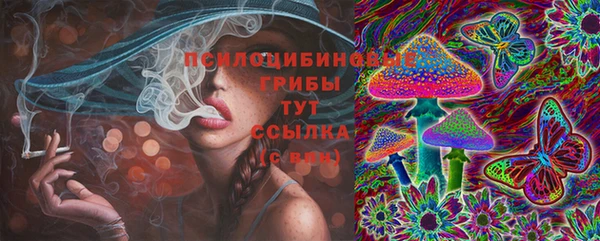 ECSTASY Алзамай