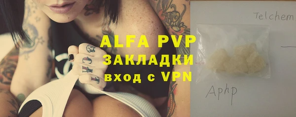 ECSTASY Алзамай
